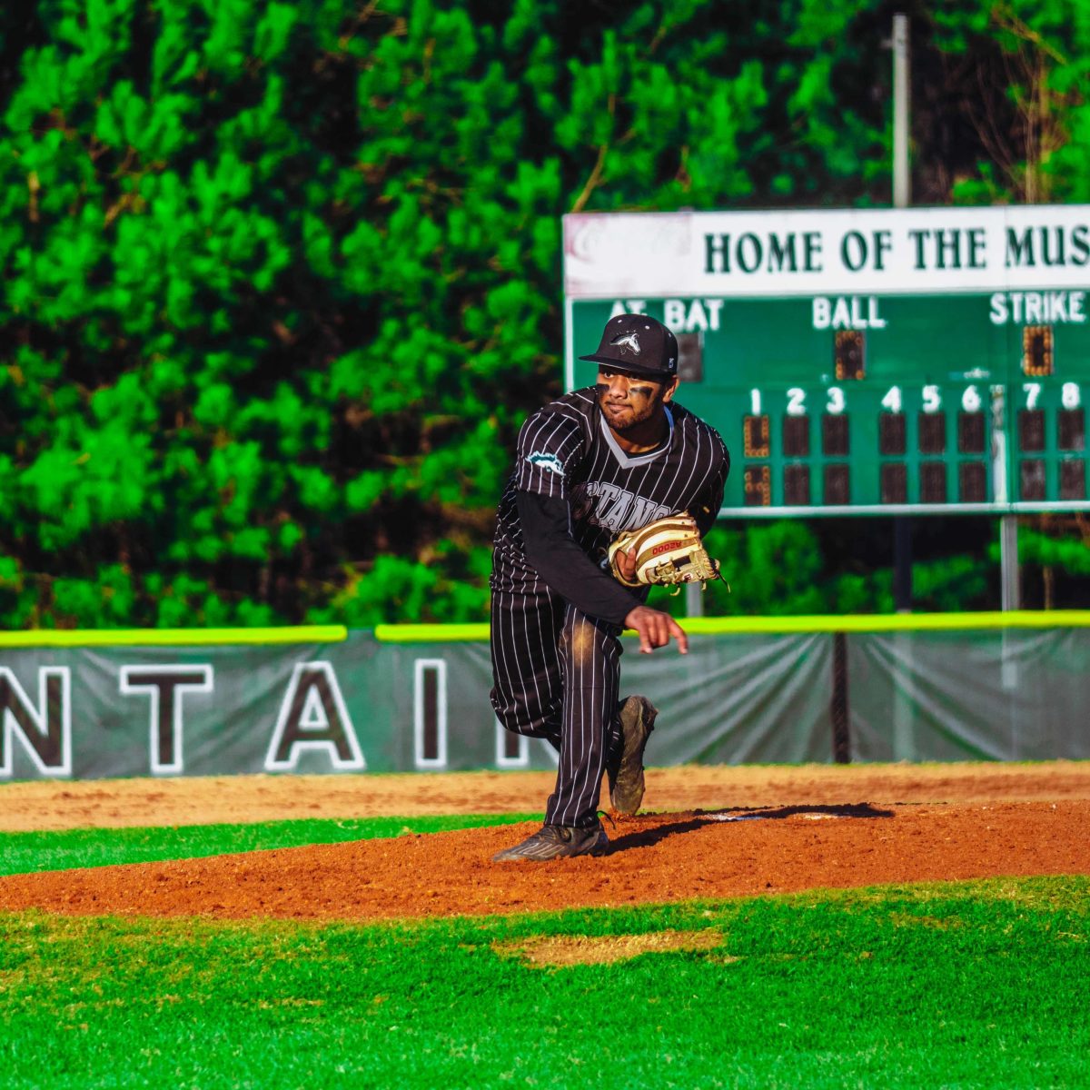 Willie_Prince_Kennesaw_Mountain_baseball.28